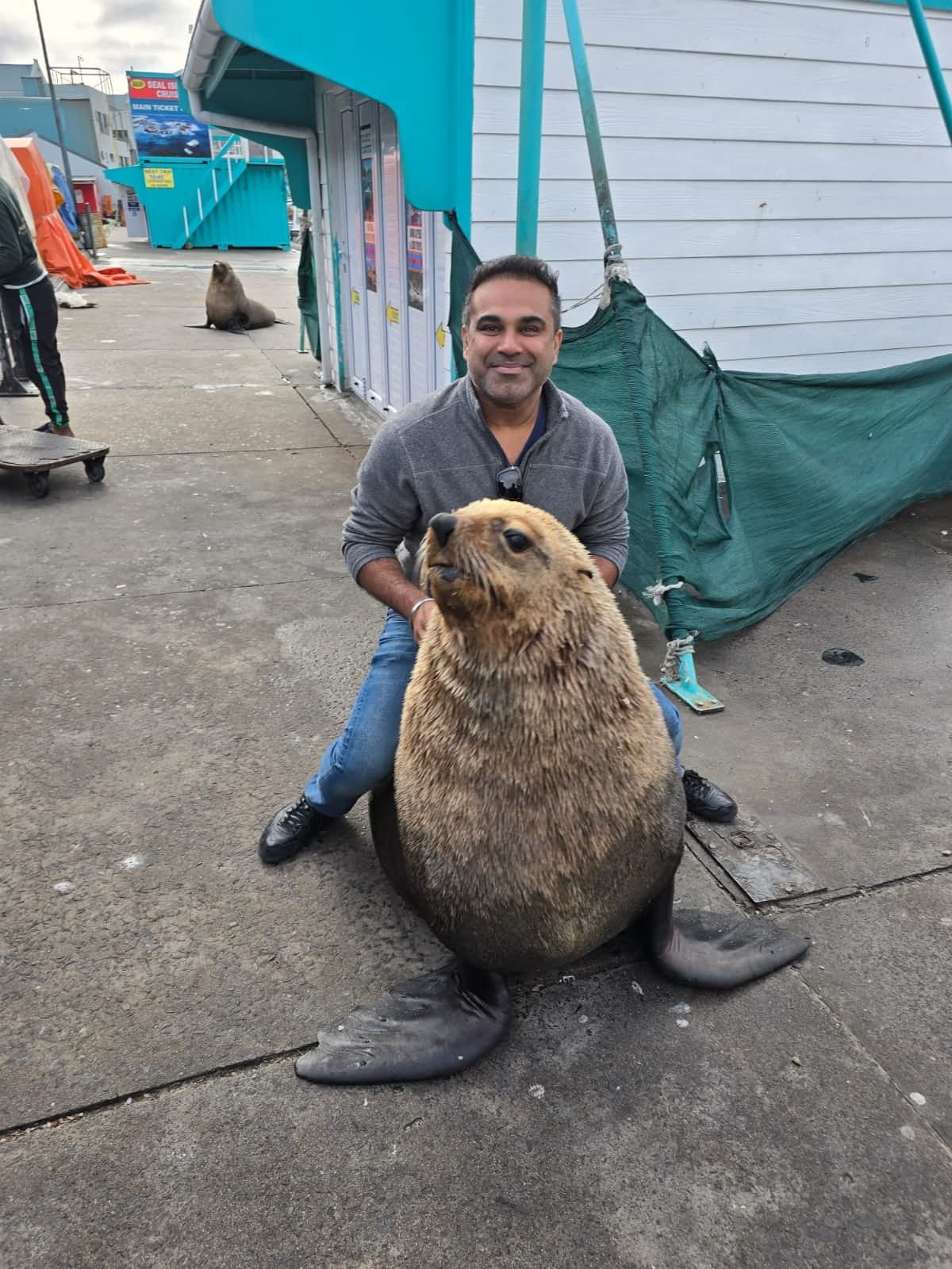 Guest crouching beside a huge fur seal on the harbour front