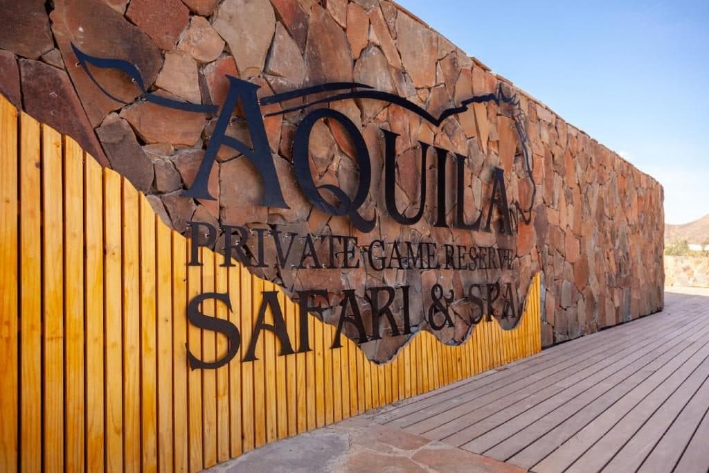 Aquila Safari Tour