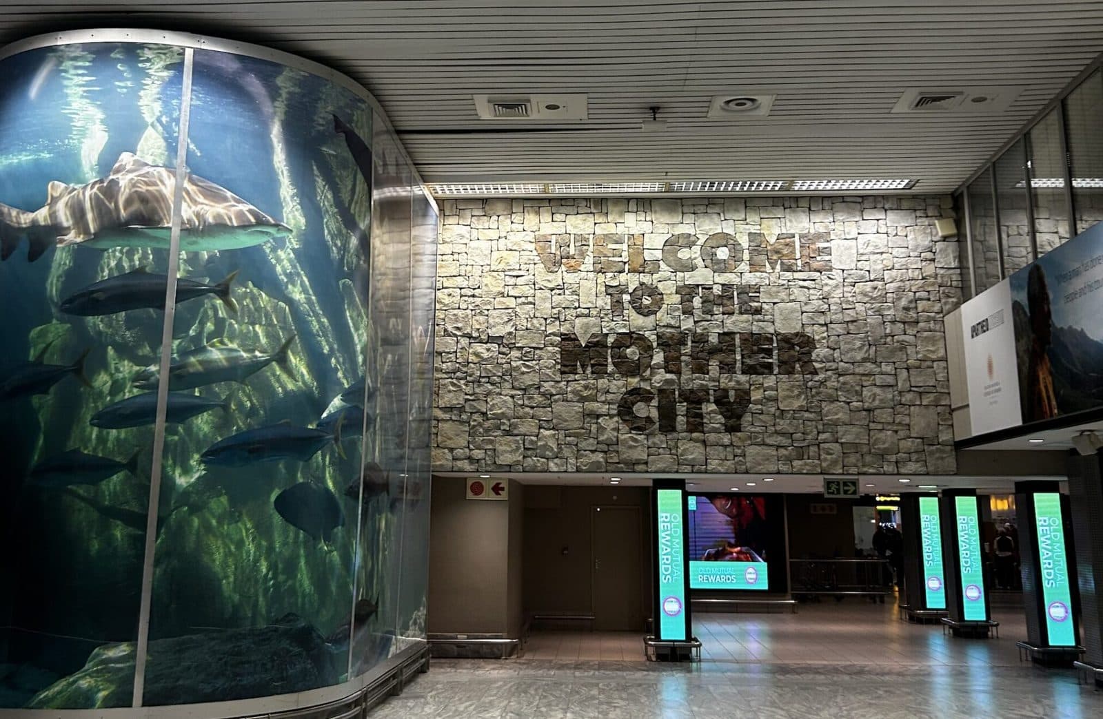 From Airport to Adventure: Lyft Day Tours from Cape Town International Airport
